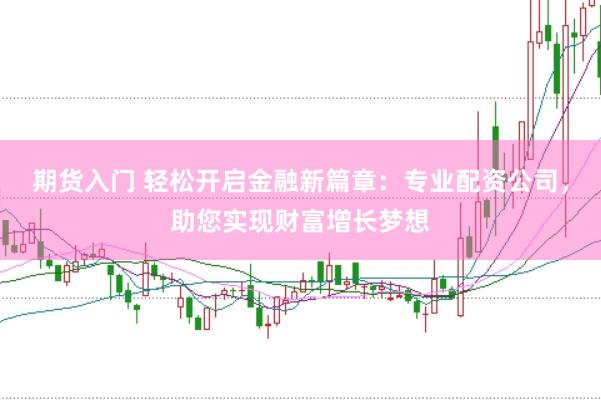 期货入门 轻松开启金融新篇章：专业配资公司，助您实现财富增长梦想