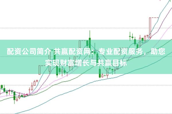 配资公司简介 共赢配资网：专业配资服务，助您实现财富增长与共赢目标