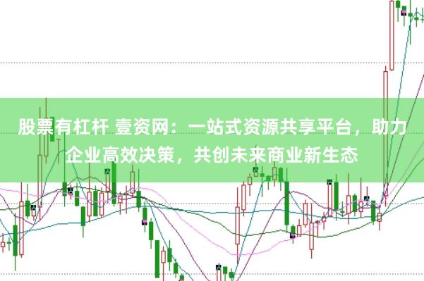 股票有杠杆 壹资网：一站式资源共享平台，助力企业高效决策，共创未来商业新生态