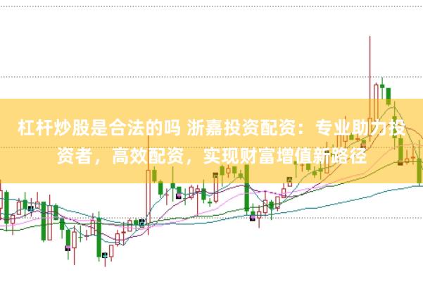 杠杆炒股是合法的吗 浙嘉投资配资：专业助力投资者，高效配资，实现财富增值新路径