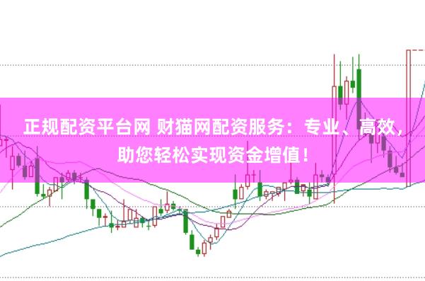 正规配资平台网 财猫网配资服务：专业、高效，助您轻松实现资金增值！