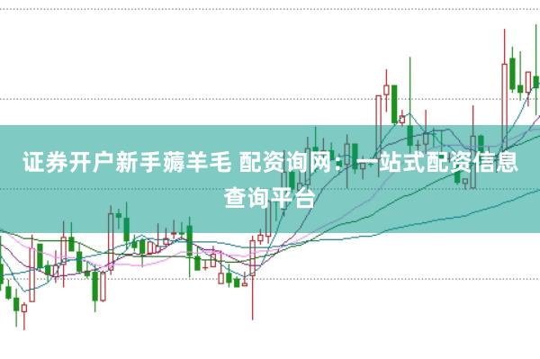 证券开户新手薅羊毛 配资询网：一站式配资信息查询平台