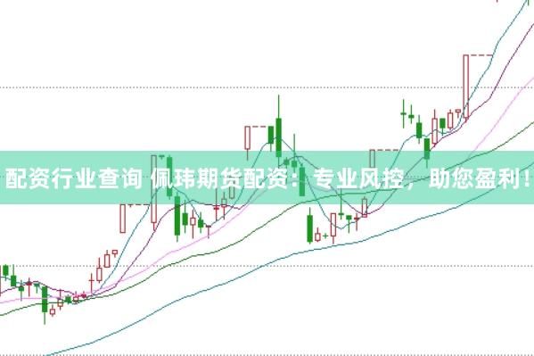 配资行业查询 佩玮期货配资：专业风控，助您盈利！