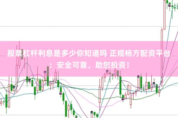 股票杠杆利息是多少你知道吗 正规杨方配资平台：安全可靠，助您投资！