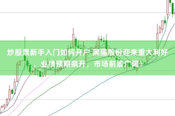 炒股票新手入门如何开户 黑猫股份迎来重大利好，业绩预期飙升，市场前景广阔！