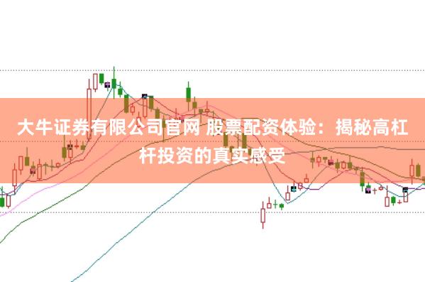大牛证券有限公司官网 股票配资体验：揭秘高杠杆投资的真实感受