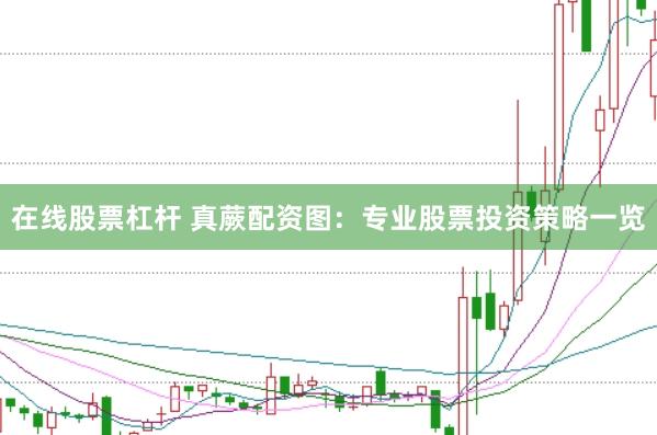 在线股票杠杆 真蕨配资图：专业股票投资策略一览