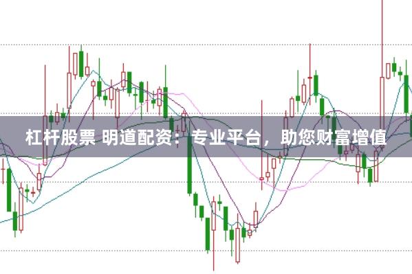杠杆股票 明道配资：专业平台，助您财富增值