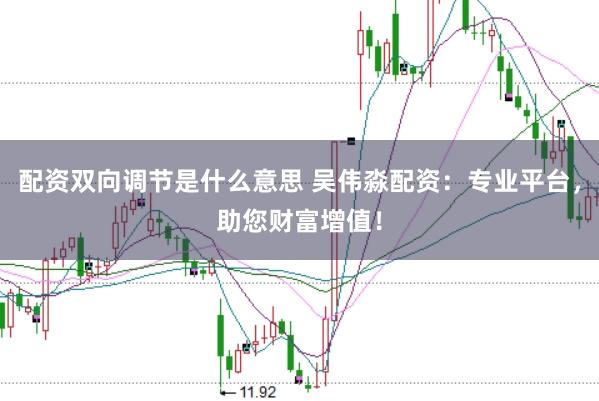 配资双向调节是什么意思 吴伟淼配资：专业平台，助您财富增值！