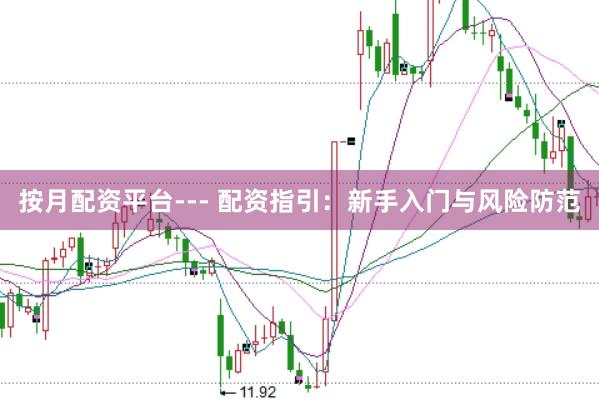 按月配资平台--- 配资指引：新手入门与风险防范