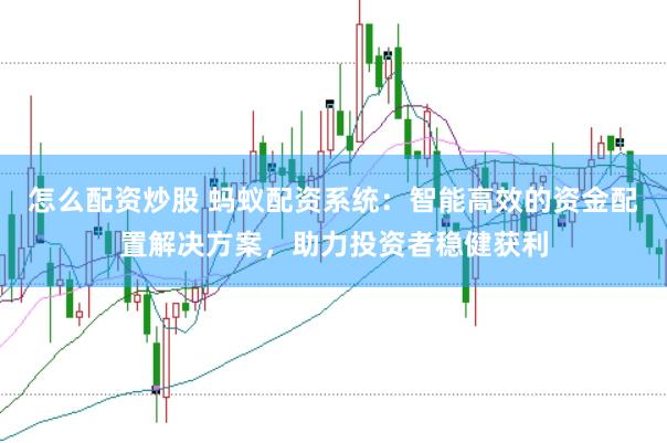 怎么配资炒股 蚂蚁配资系统：智能高效的资金配置解决方案，助力投资者稳健获利