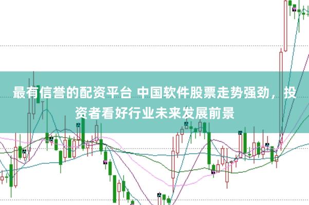 最有信誉的配资平台 中国软件股票走势强劲，投资者看好行业未来发展前景