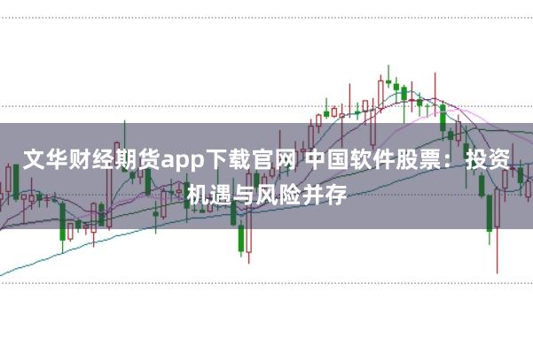 文华财经期货app下载官网 中国软件股票：投资机遇与风险并存