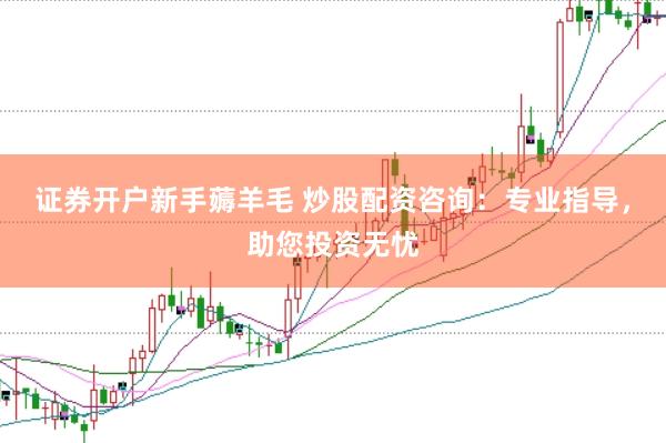 证券开户新手薅羊毛 炒股配资咨询：专业指导，助您投资无忧