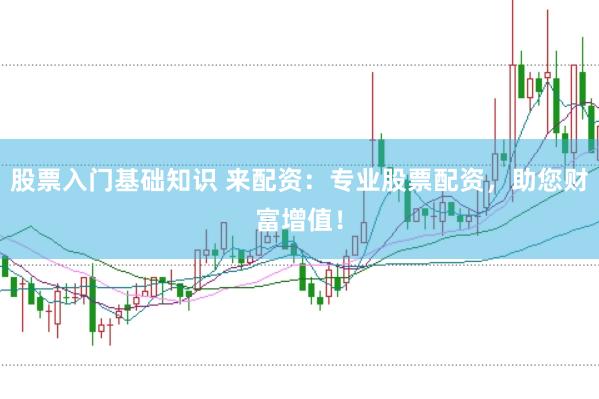 股票入门基础知识 来配资：专业股票配资，助您财富增值！