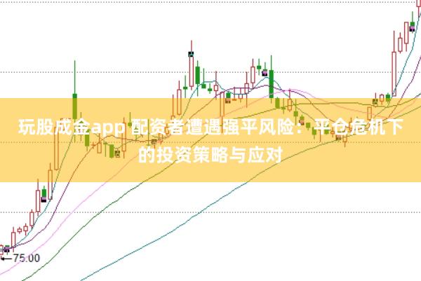 玩股成金app 配资者遭遇强平风险:平仓危机下的投资策略与应对