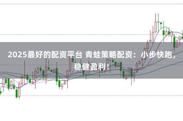 2025最好的配资平台 青蛙策略配资:小步快跑,稳健盈利!