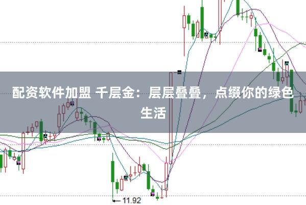 配资软件加盟 千层金:层层叠叠,点缀你的绿色生活