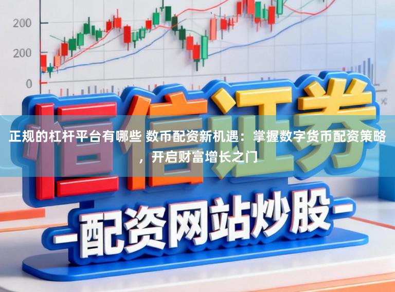 正规的杠杆平台有哪些 数币配资新机遇:掌握数字货币配资策略,开启财富增长之门